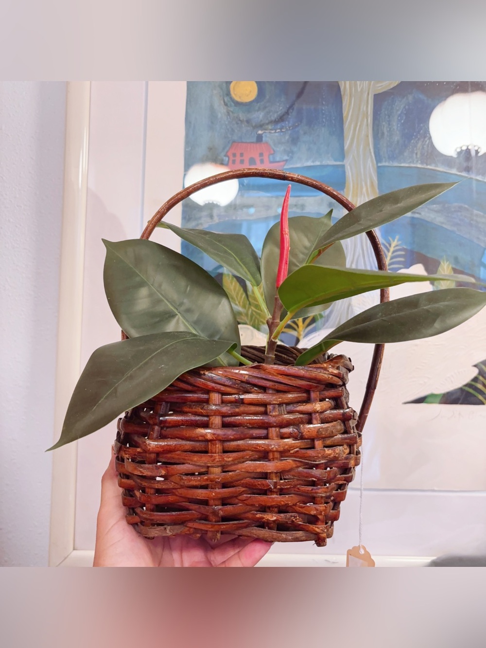 Handwoven Brown Wicker Plant Basket with Handle - Home Accents Kitchen Planter?